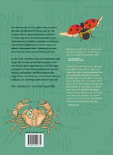 Metamorphose. 8+ - afbeelding 2