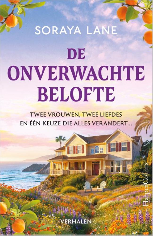 Das unerwartete Versprechen -