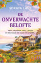 Das unerwartete Versprechen -