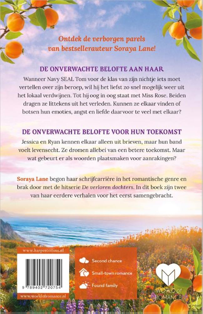 Das unerwartete Versprechen -