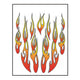 Aufklebersatz Flammen 911