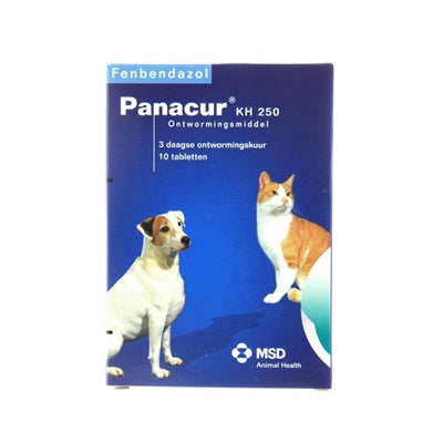 Panacur Hundekatze