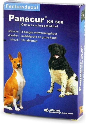 Panacur Hundekatze