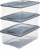 Iris neue Topbox-Aufbewahrungsbox – 30 l – Kunststoff – transparentes Silbergrau – 3er-Set