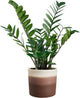 Elho Farbverlauf rund 18 cm – Blumentopf für den Innenbereich – 100 % recycelter Kunststoff – ø 18,2 x H 16,8 – Zedernbraun