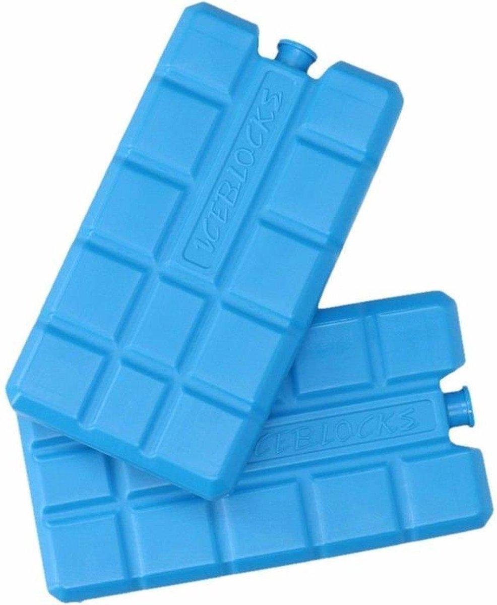 Carpoint Kühlelemente - 2 Stück - 15x8x2 cm - Blau