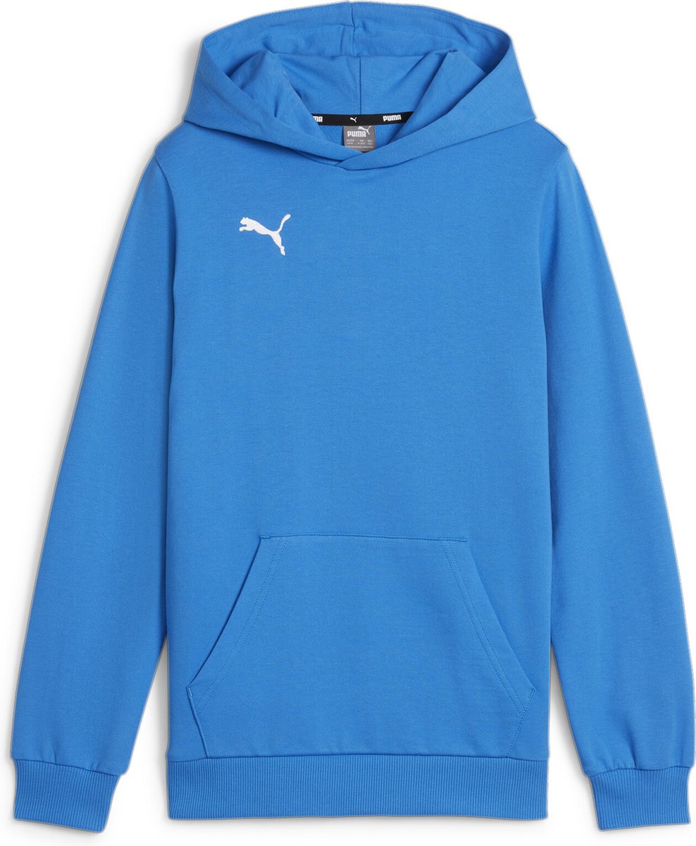 Puma TeamGoal Casuals Hoody Jr Jungen Sportpullover – Ignite Blau-Weiß