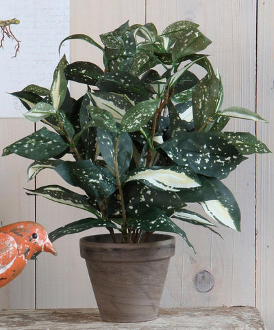Glimmerdekorationen Cordyline Kunstpflanze – Grün – H33 cm x T25 cm – grauer Dekotopf – Zimmerpflanze – Kunstpflanzen Kunstpflanzen