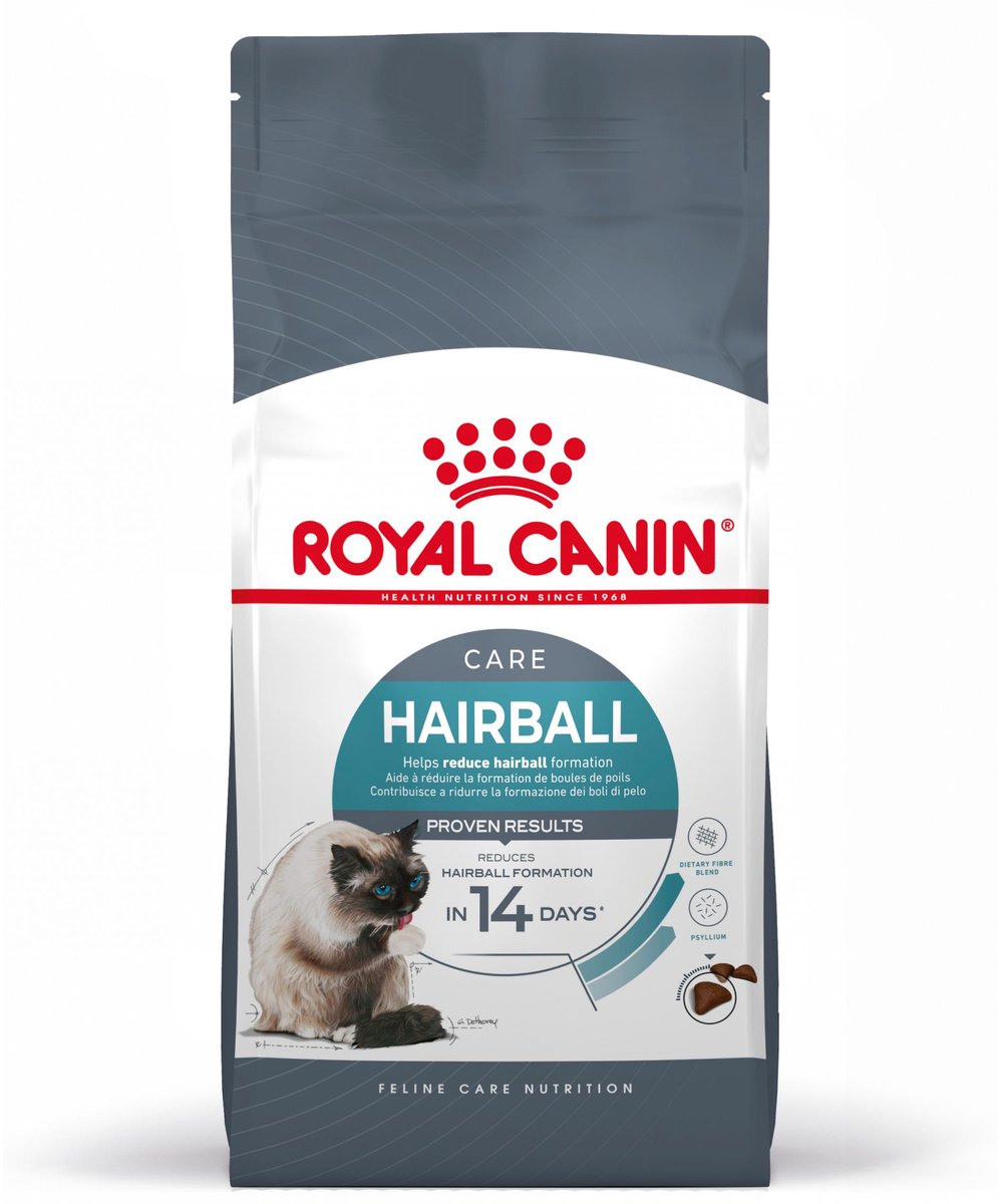 Königlicher Hund