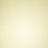 Tonic Studios • Pergamentpapier mit Perlmuttgold - afbeelding 2