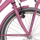 Alpina Fork 20 Cargo M Fuchsia Pink mit Matt