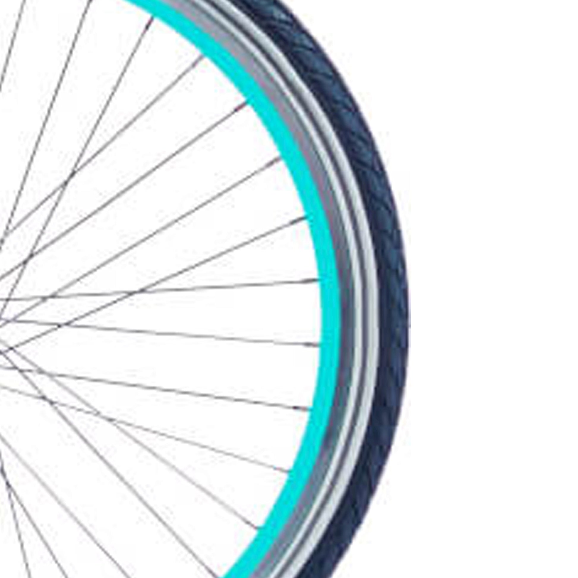 Alpina Velg 24 J19SZ PMS7471 YS7349 SHINY