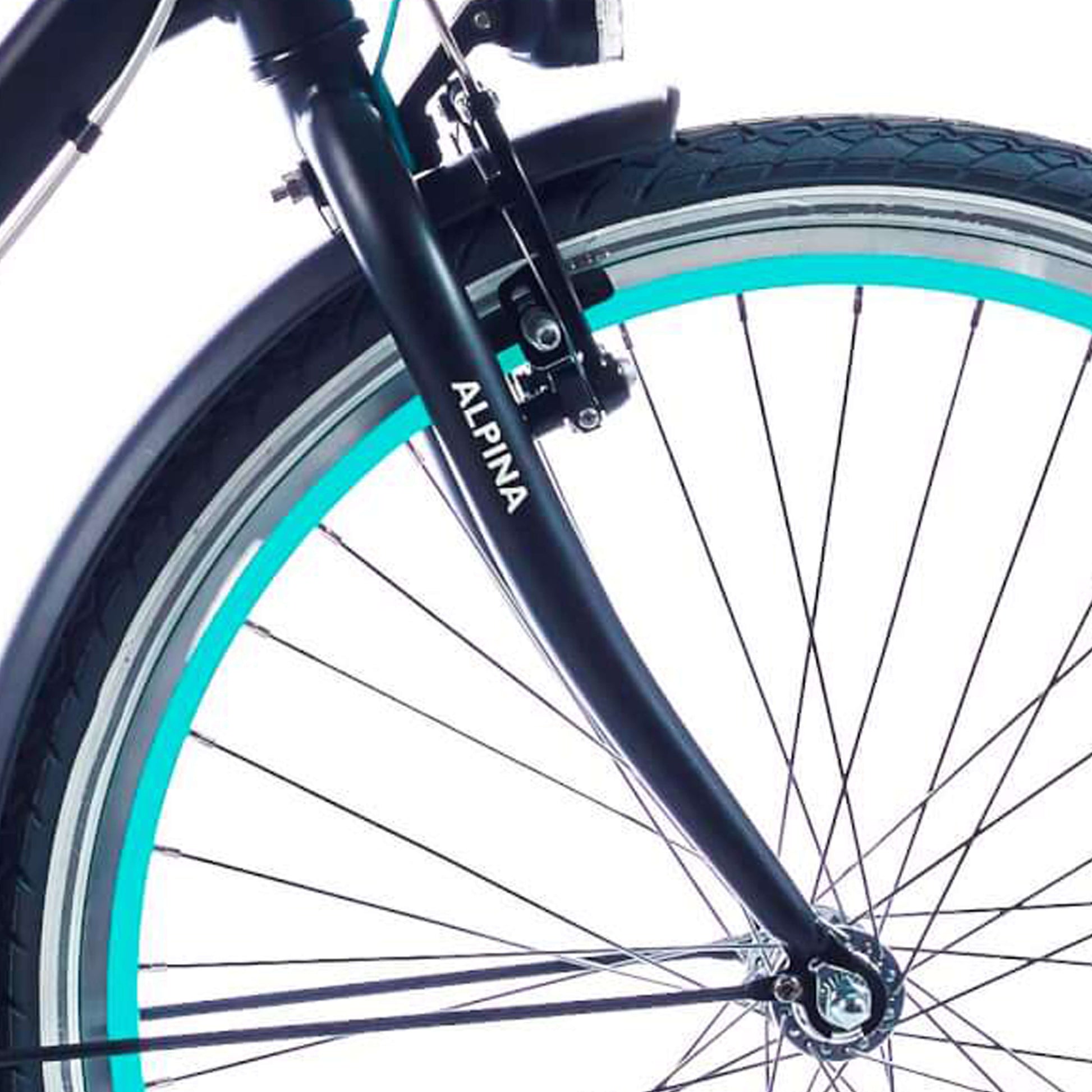 Alpina Fork 24 Mood Black mit Matt