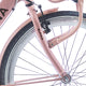 Alpina Fork 24 Clubb Desert Pink Matt