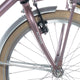 Alpina Fork 22 Frachtholz Rose Matt