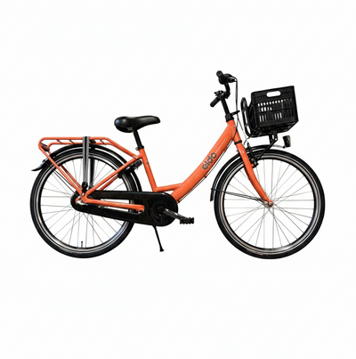 Aldo 24 Zoll Carino Fahrrad Alu 3V Zalmoranje