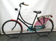 Axa 28 Zoll Oma Fahrrad Papagei 57cm + solide