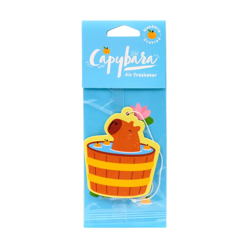 Mandarin -Geruch Capybara Air Frisher