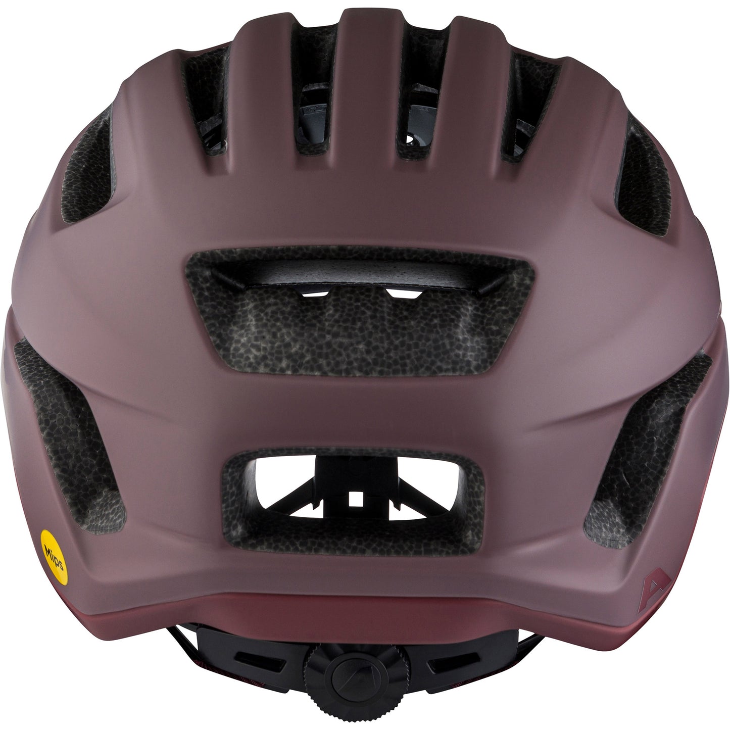 Olympiasportbekleidung Alpina Sports Tour Helm Paranus Mips 55-59 mattbraun