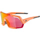 Olympische Sportbekleidung Alpina Sports Sportbrille Rocket Q-Lite Mattrosa