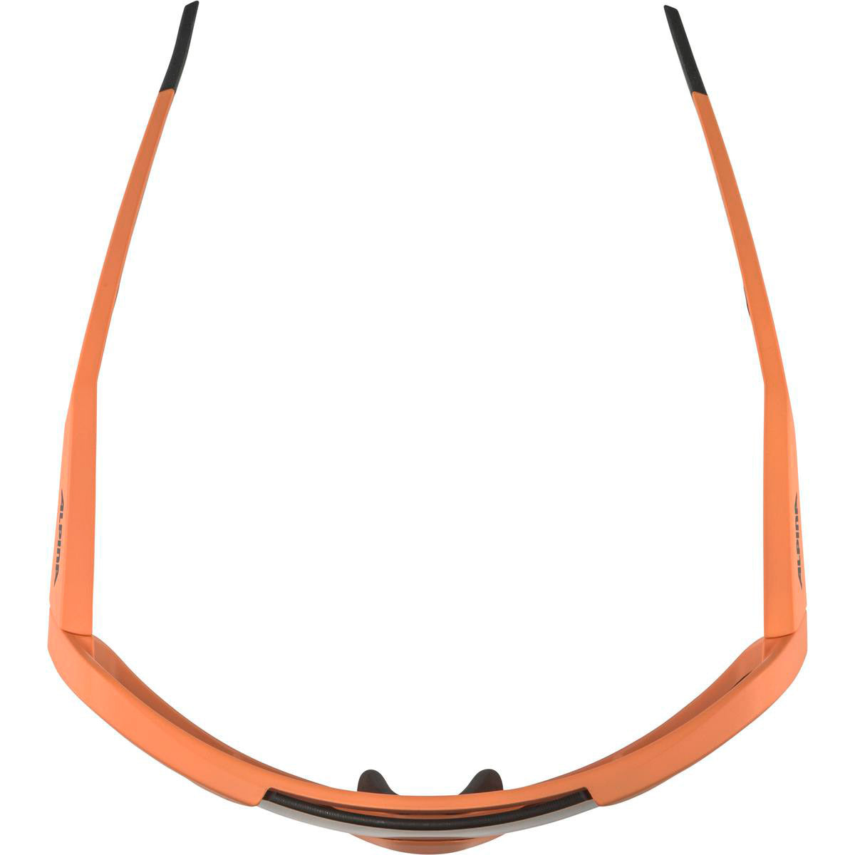 Olympische Sportbekleidung Alpina Sports Sportbrille Rocket Q-Lite Mattrosa