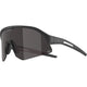 Alpina Sonic HR M Q-Lite – Sportbrille