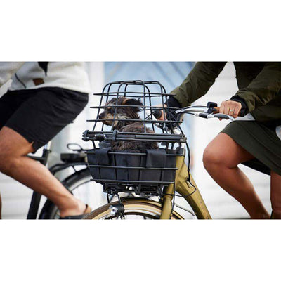 Atranvelo Wire Dome Epic Multi Animal Grid Epic Multi Schwarz