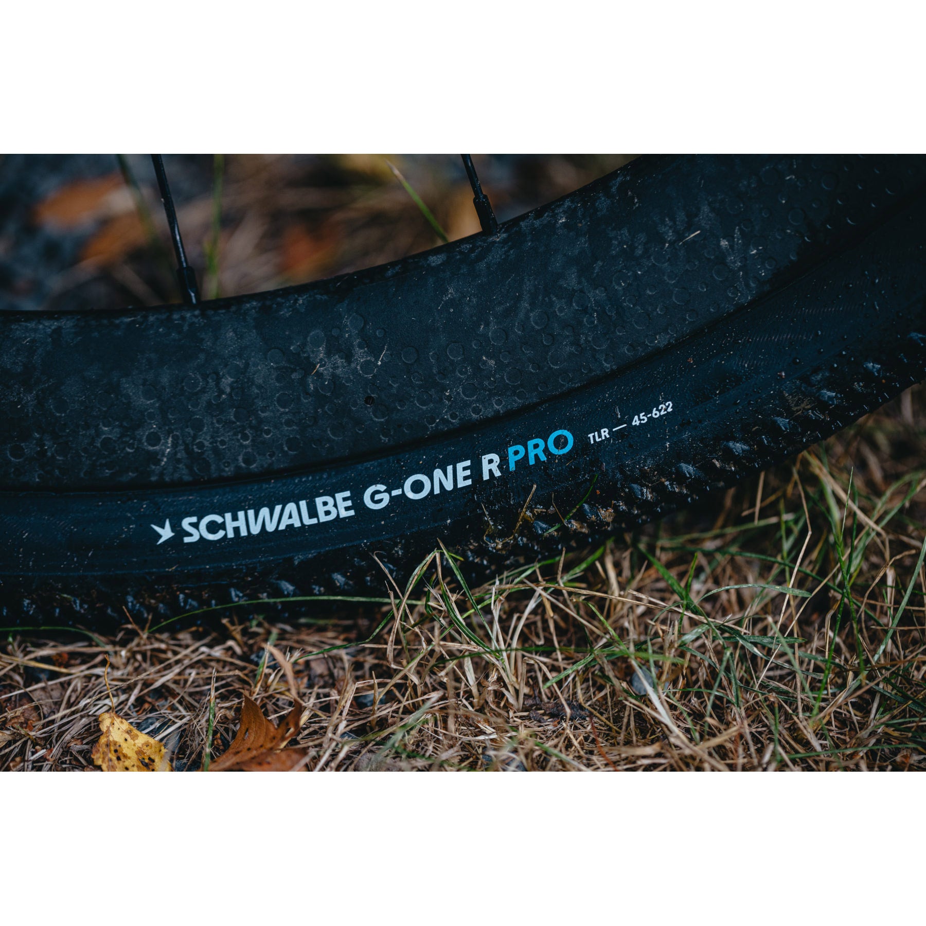 Schwalbe Tire G-One R Evo V-Guard 28 x 1,35 B TS-S-S-SK-Falten
