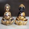 Buddha und Lotusl Backflow -Weihrauchhalter