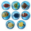 3D Tropical Fish Bouncing Ball klein