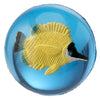 3D Tropical Fish Bouncing Ball klein