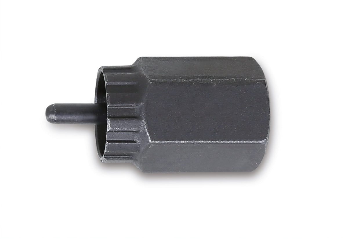 Beta, Beta Beta Freilauf Kunde Campagnolo