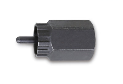 Beta, Beta Beta Freilauf Kunde Campagnolo