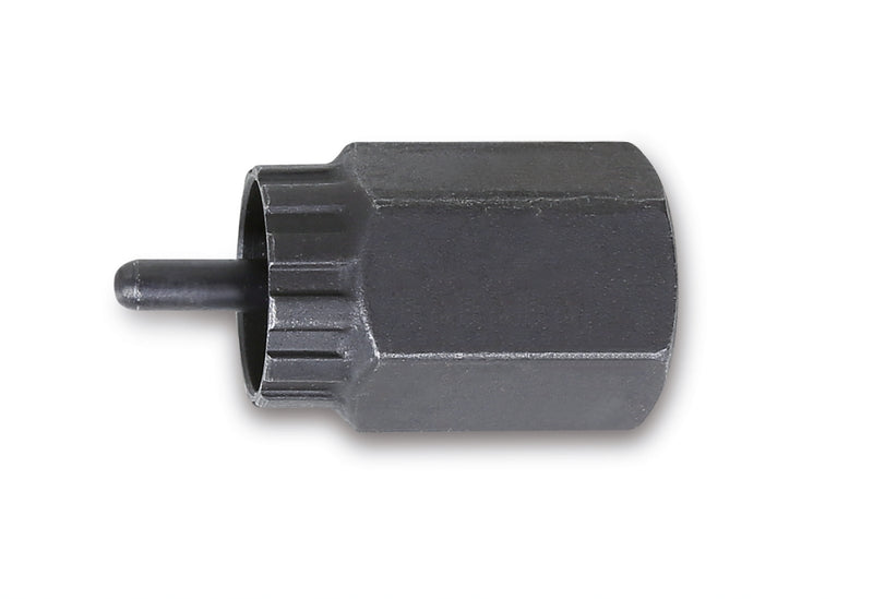 Beta, Beta Beta Freilauf Kunde Campagnolo