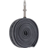 Schwalbe - afbeelding 2