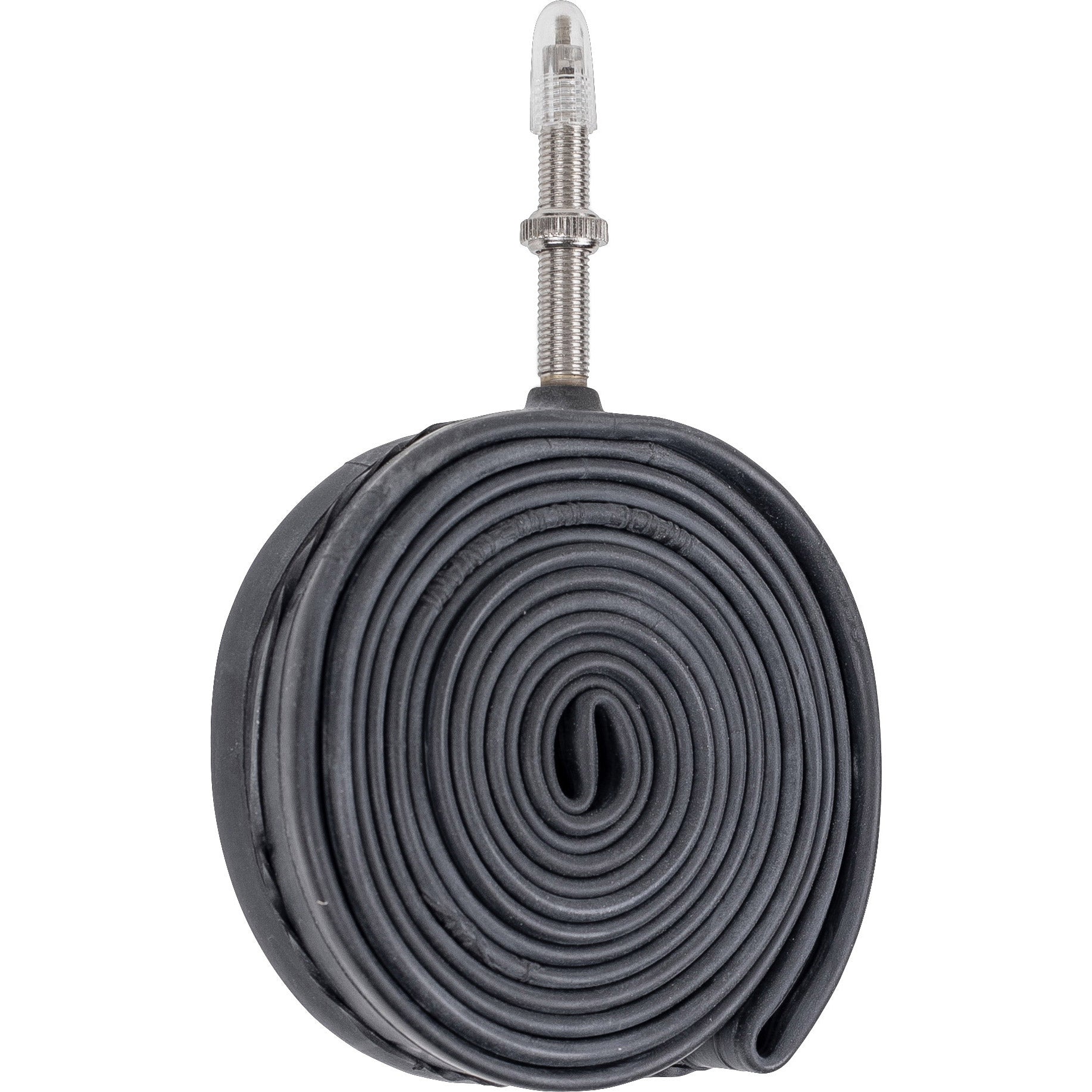 Schwalbe