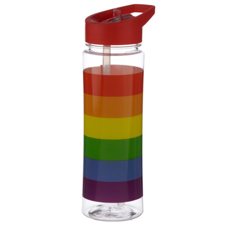 Somewere Regenbogen nachhaltige 550ml Wasserflasche Flip Straw