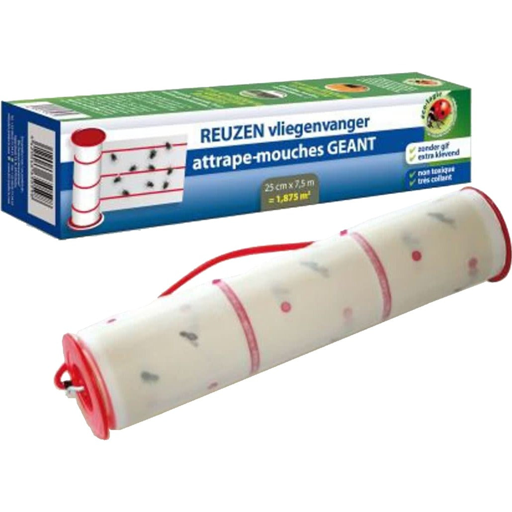 BSI-Riesenschnäpper