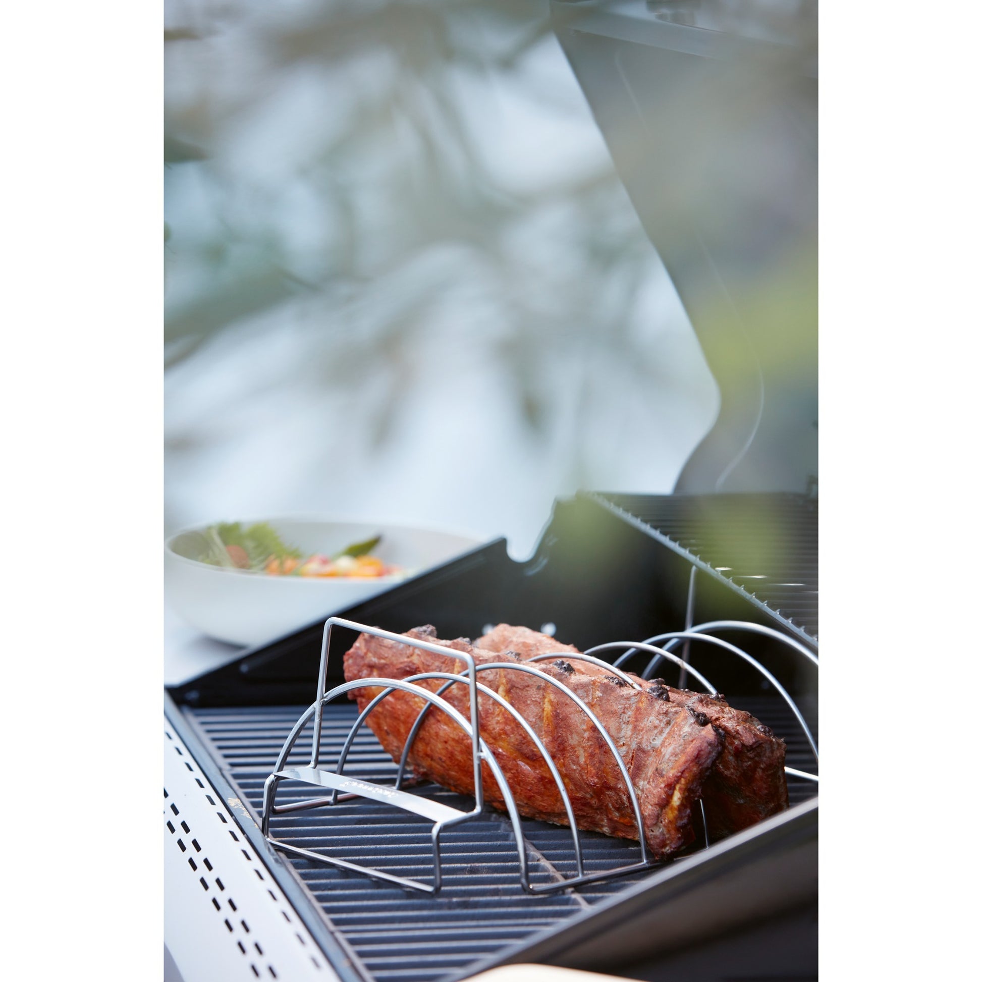 Grill Vleesen Ribbrek