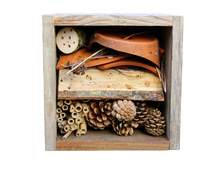 Besser vertraut mit dem Klima, DIY-Insektenhotel – 30 x 30 x 15 cm