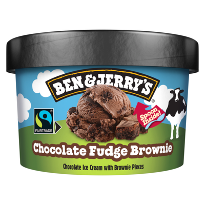 Ben Jerry's Shortie Chocolate Fudge Brownie (12x 100 ml)
