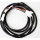 Cortina Display -Kabel 36V L1500 1400