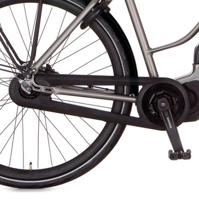 Cortina Chain Guard Fluent E-Mozzo (Stufen) Black Matt