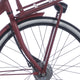 Cortina Front Carrier Basis Teil 28 Himbeere