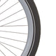 Cortina Velg J19DC Maus Matt