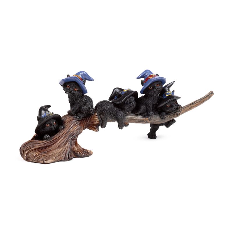 Hexen schwarze Katze spielt auf Broomstick Broeamtick