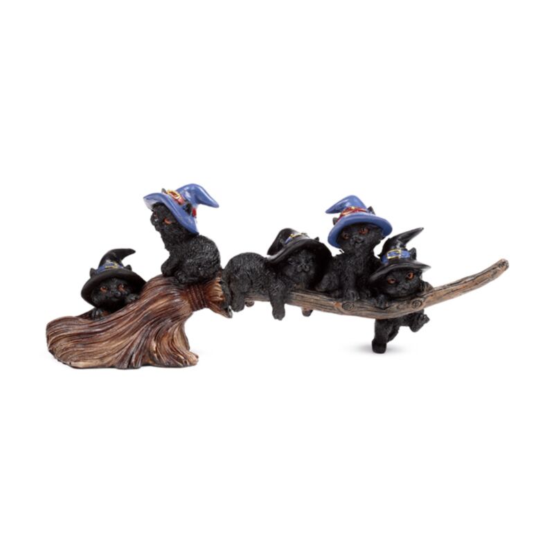 Hexen schwarze Katze spielt auf Broomstick Broeamtick