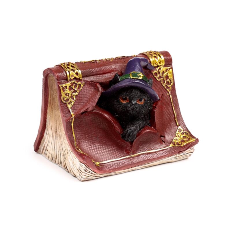 Hexen schwarze Katze Mischyuuwous Zauberbuch