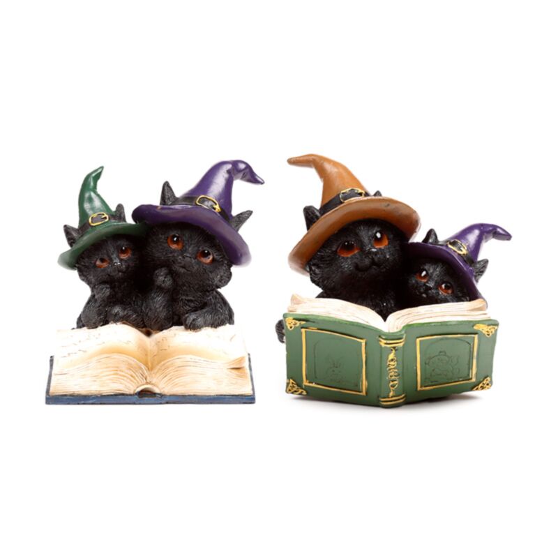 Hexen schwarze Katze Magisches Zauberbuch