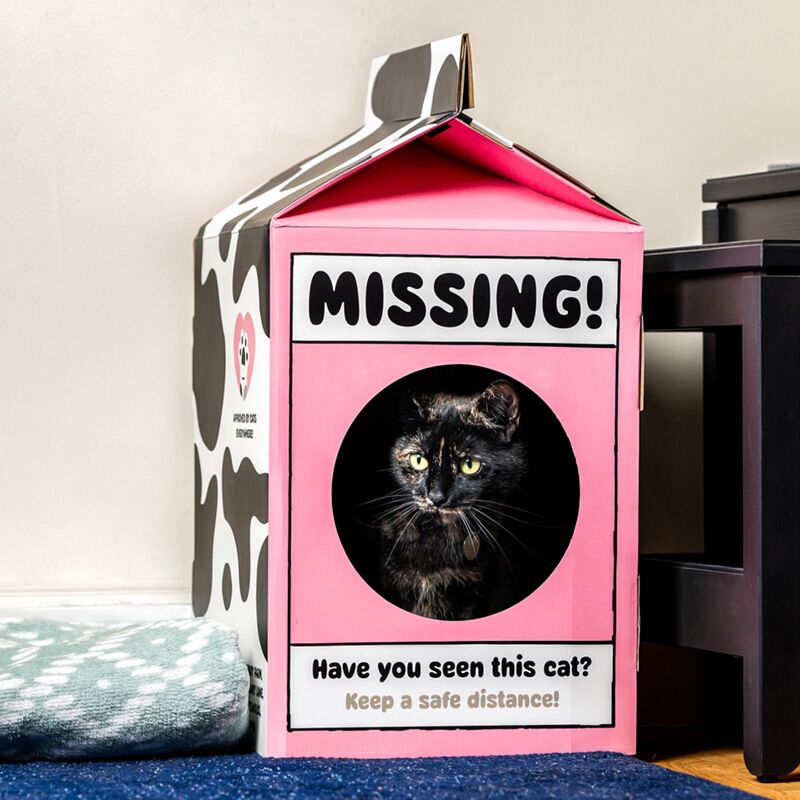 Do-it-yourself 100% Papp Cat Playhouse
